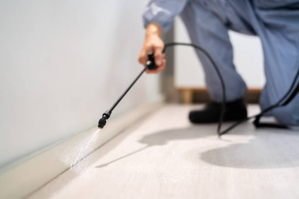 Licensed Ant Control service in Suffolk, VA - Show Me Pest Control