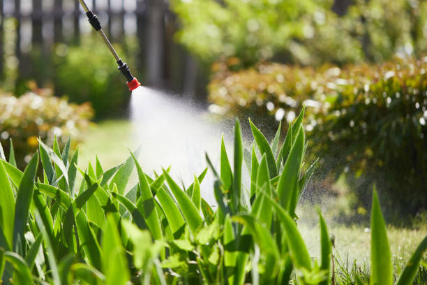 24/7 Emergency Ant Control experts in Suffolk, VA