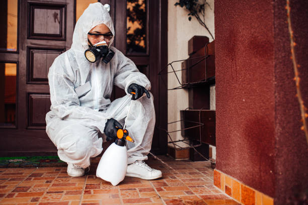 Reliable Ant Control contractor in Suffolk, VA by Show Me Pest Control